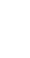 GvG